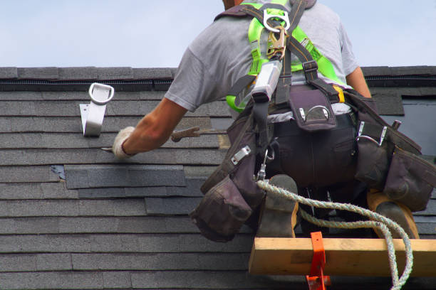 Best Roof Moss and Algae Removal  in Cass City, MI